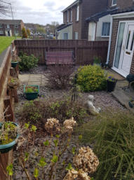 Messy Garden before project