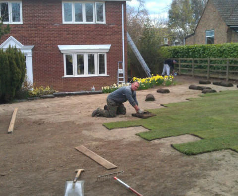 gardener laying turf